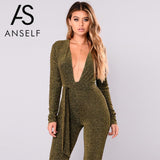 Elegant Metallic Sequin Catsuit